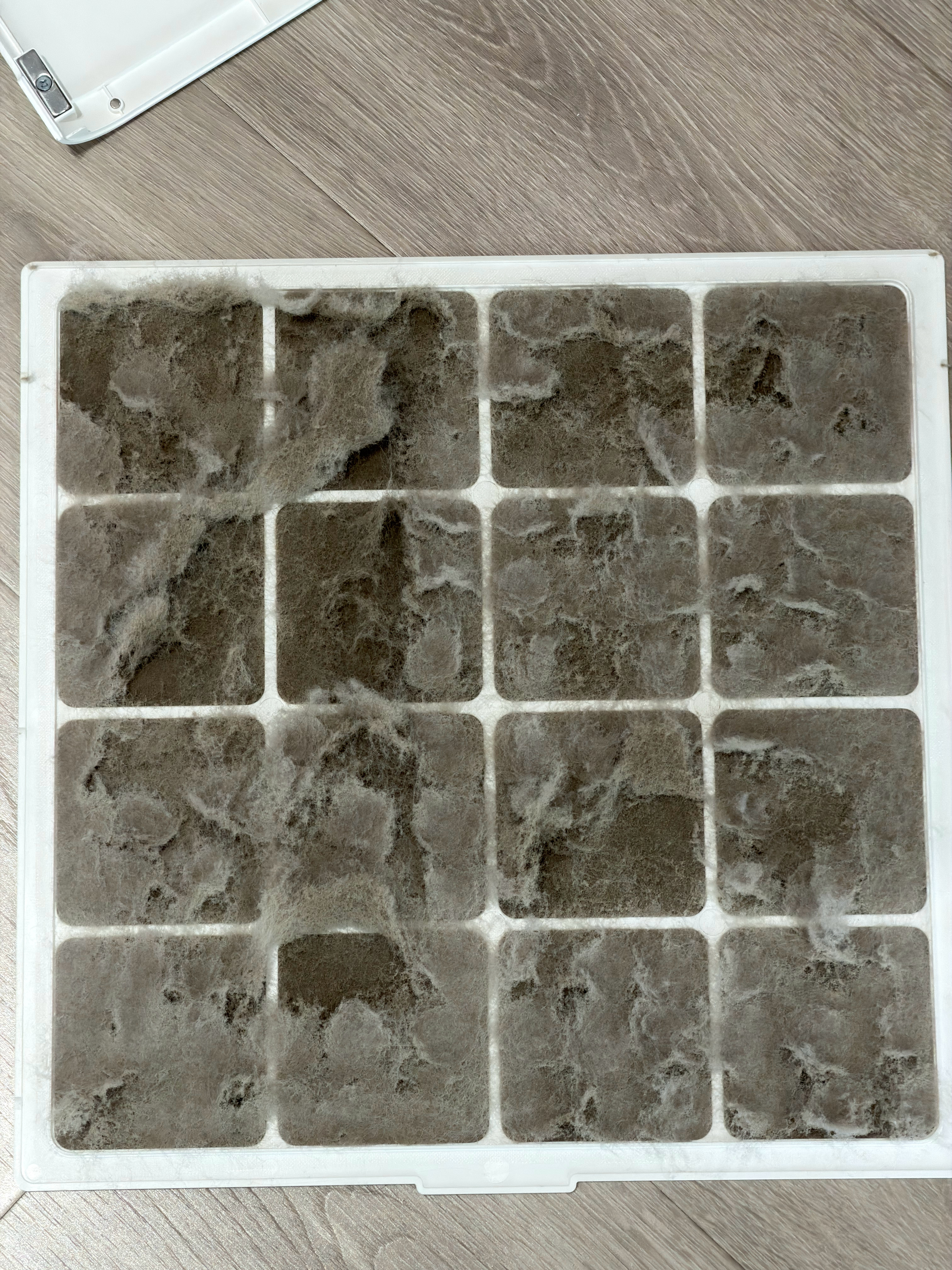 一个角落的净化器，忘了多久没清理就这样了… 