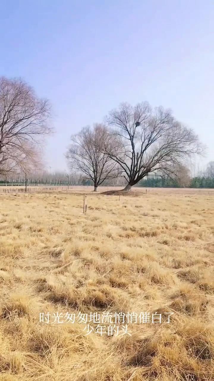 时光匆匆地流，悄悄催白了少年的头。跌跌撞撞这些年早已是头破血流。岁月也静静的走，
