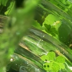 阳光信用 每日一善 生活中，无论遇到怎样的失意落寞，怎样的坎坷崎岖，都不惧怕。只