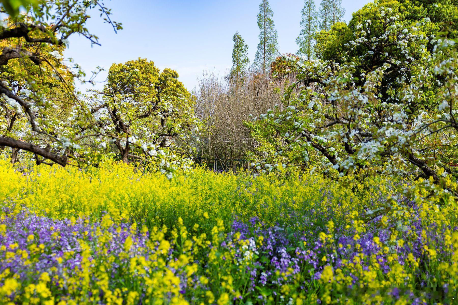 【股权激励｜为什么尽职调查是成功的“第一步”而非“走过场”？】核心观点：股权激励