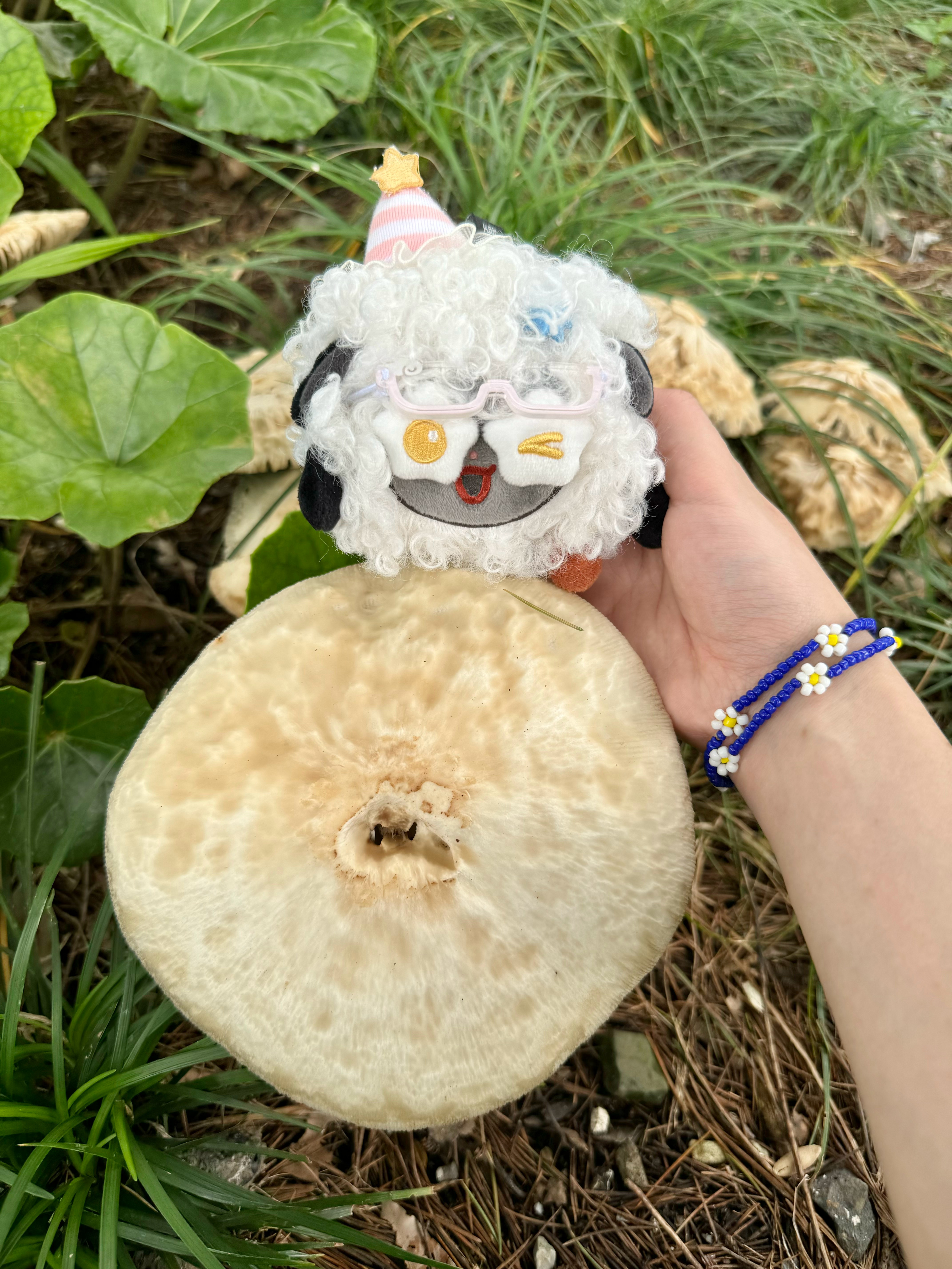 灵感菇力菇力菇力我擦灵感菇灵感菇🍄🐏 