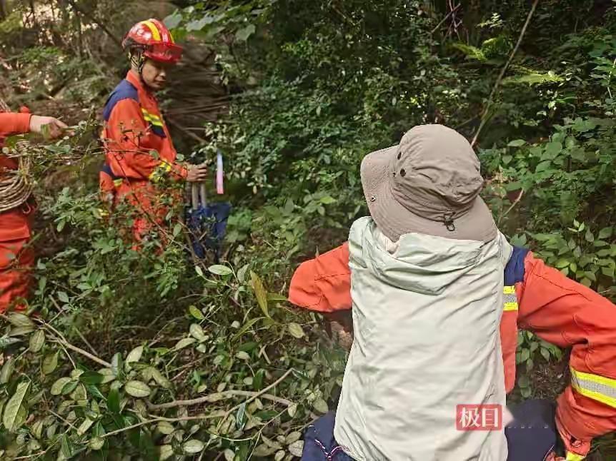 武汉木兰山女子深山被困，消防员逆行上山暖心施救
 （个人观点仅供参考，无任何不良