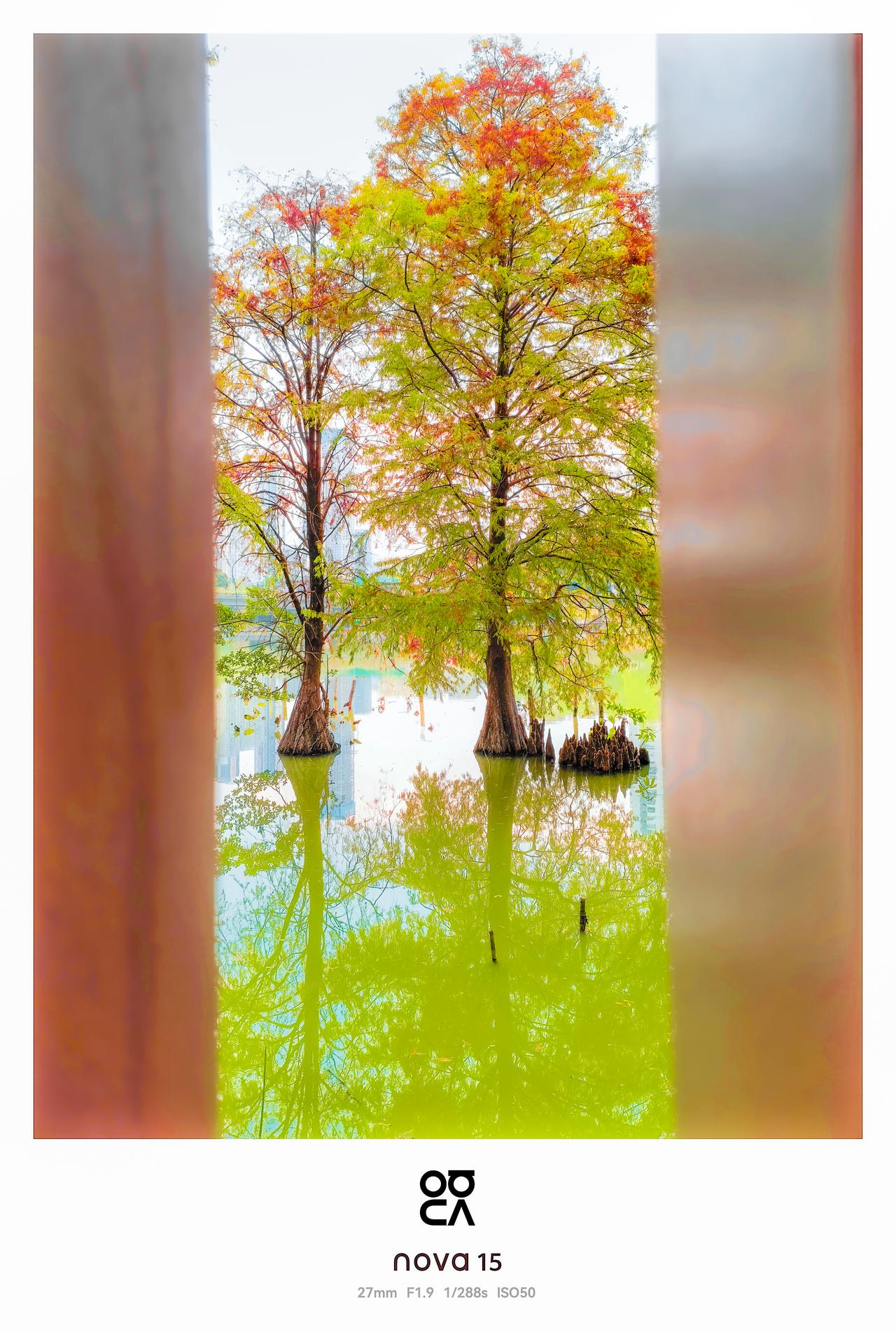 拿旗舰拍出好照片不算本事，拿中端机拍好，那是有两子，各位大佬，我献丑了，拿HUA