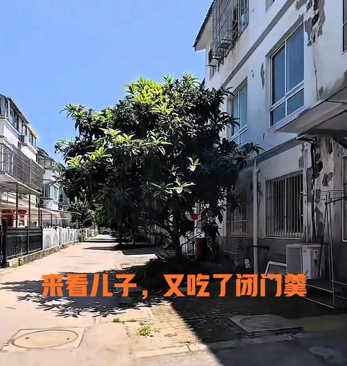 小败换个思路吧。
败家仔以看儿子为名多次上门去拍视频，这件事被观众看到眼里，每个