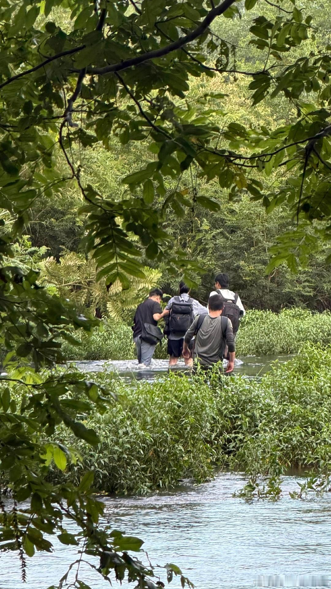 虞书欣虞书欣代拍掉水里念相思代拍掉水里 昨天虞书欣的神图原来是代拍在河对岸拍的，