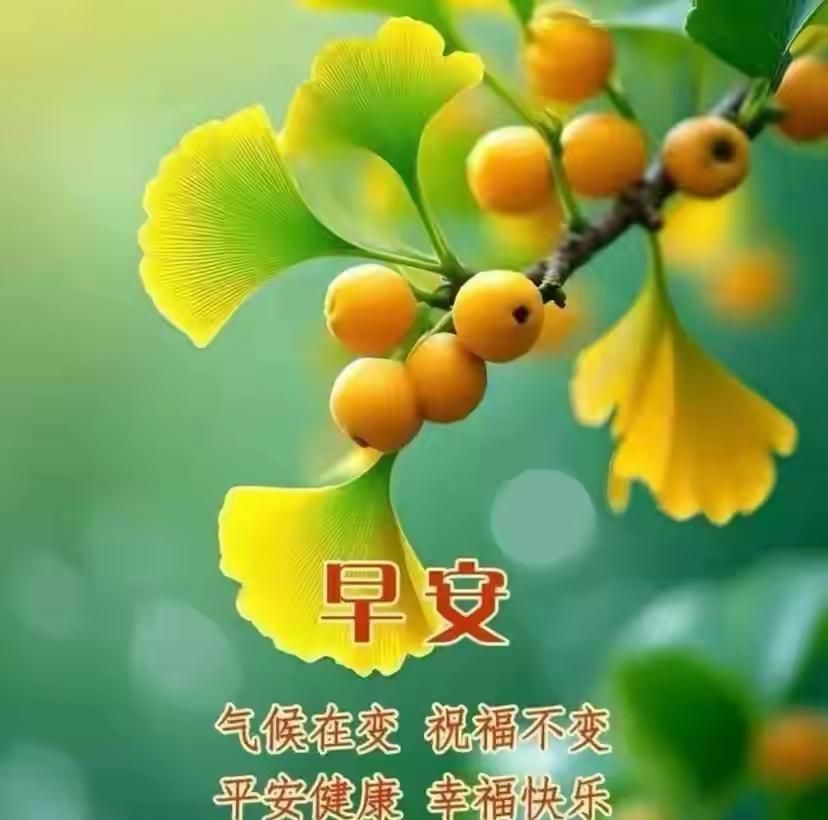 9月21日八月十一的早风里都飘着初秋的软意，刚好赶上周一新开场，距离秋分只剩2天