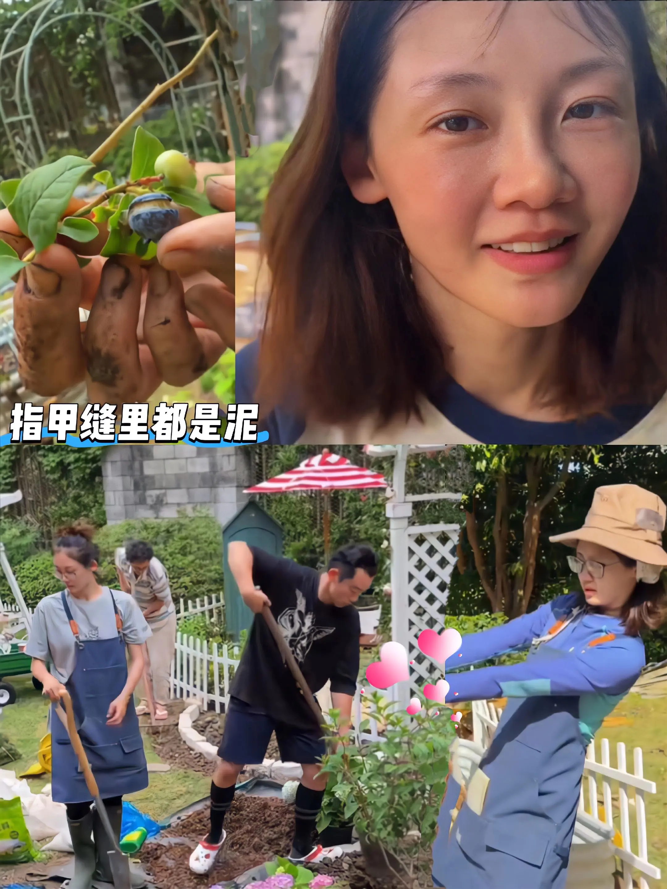女明星干农活获上百万人点赞！这就是偶像的感染力吧，苗苗作为有一定社会地...