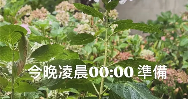新专辑终于来了！周杰伦发文：今晚0点准备