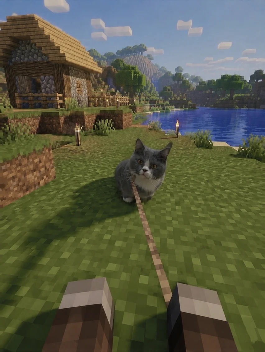 遛猫呢