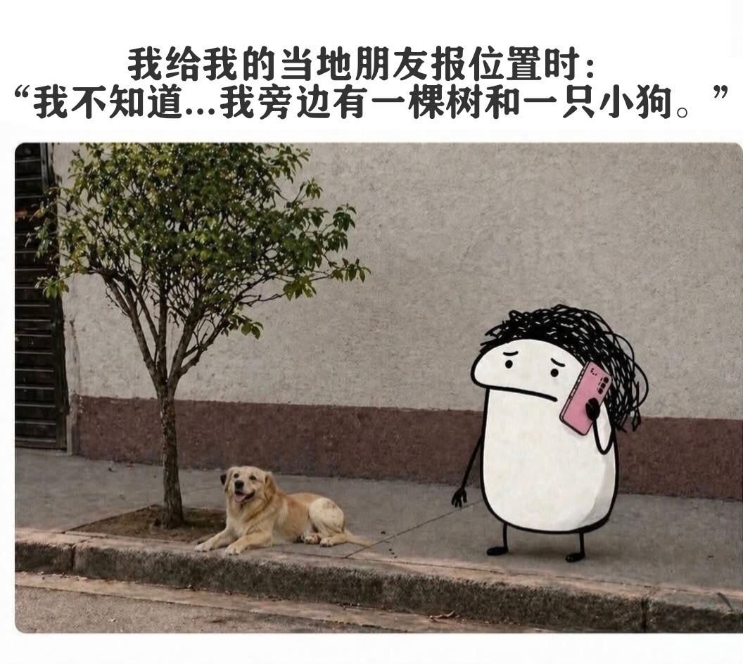 你在哪meme