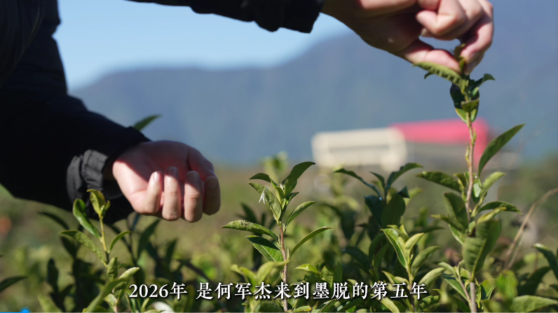 父母跨3千公里赴边境陪儿子过年95后驻村干部何军杰坚守西藏墨脱三年未归乡，父母跨