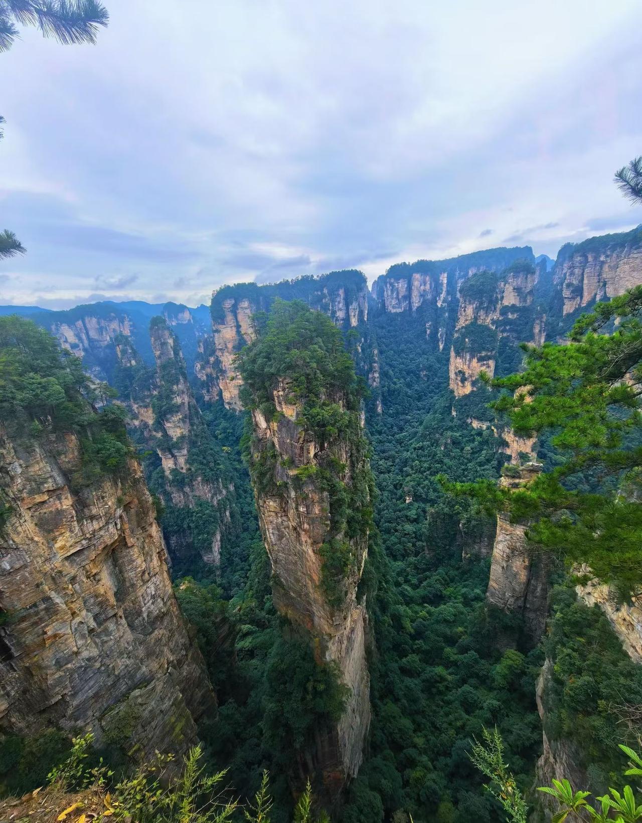 今天分享一张随手拍都说张家界的山上长满了外国人，这里不止是风景，更是被世界看见的