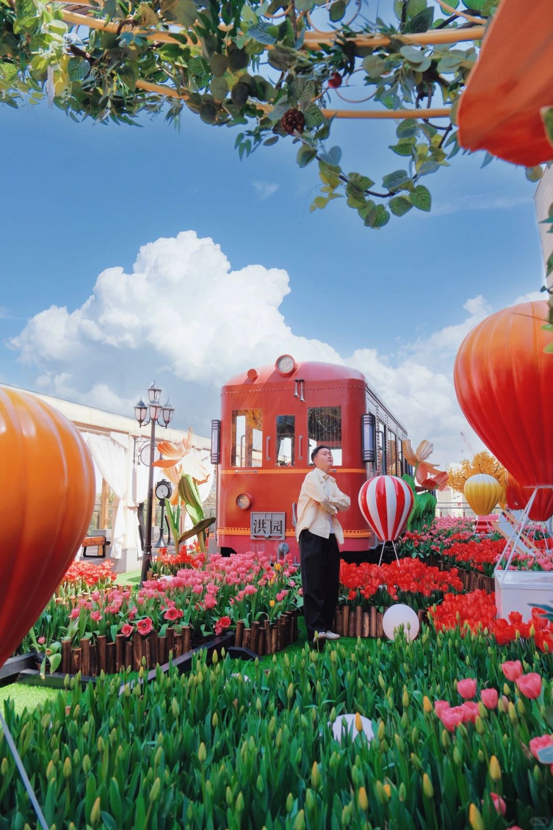 不输太子湾！！！杭州地铁口的郁金香花海🌷