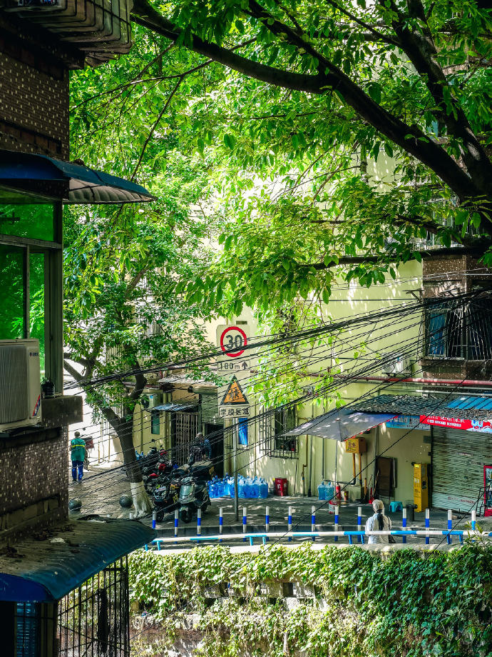 在记忆的画卷上，无数闪耀的瞬间交织成夏日的华章。阳光洒落，笑声飞扬，每一刻都是永