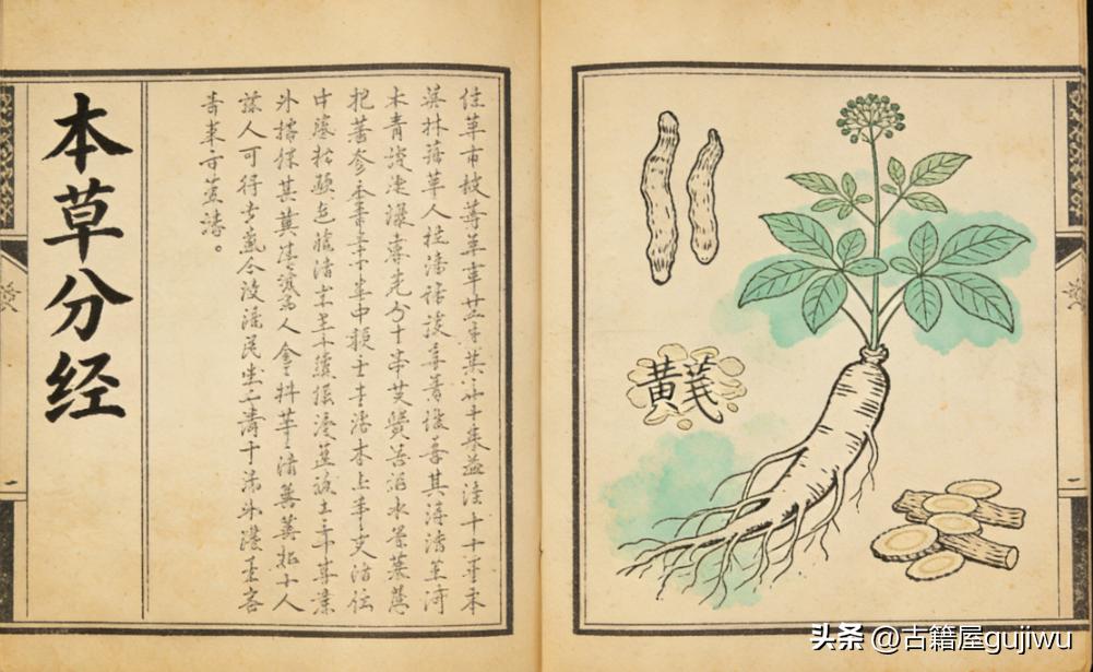 《本草分经》页数: 225页