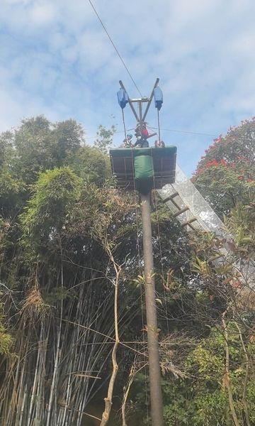 📍广州 广州龙头山森吧飞越树上探险乐园
广州龙头山森吧飞越树上探险乐园广州广州