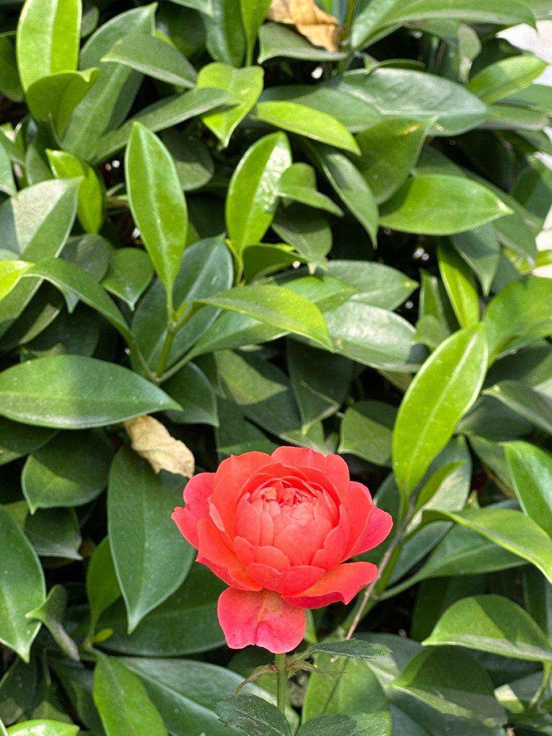 每日‎一善 👏👏👏阳光信用 善良是一种修养，善待他人就是善待自己，要想得到