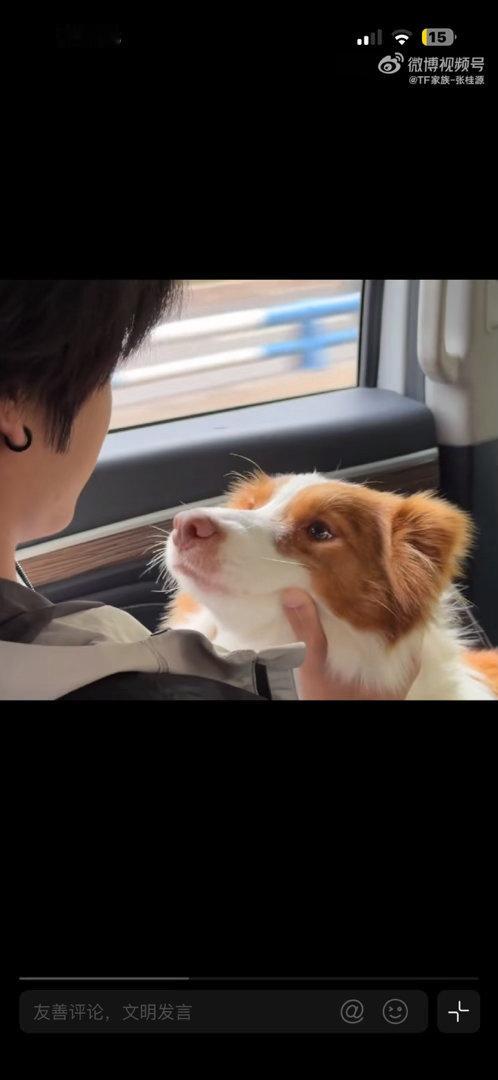 卧槽你吗呀