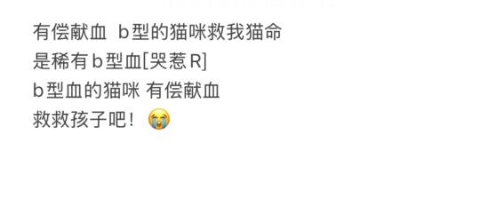 有偿献血  b型的猫咪救我猫命 是稀有b型血[哭惹R] b型血的猫咪 ...
