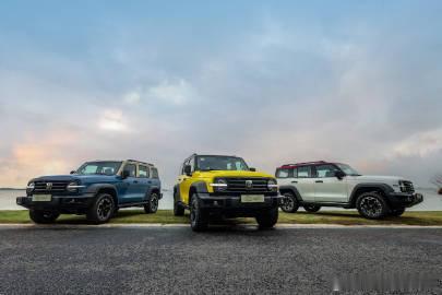 坦克300 Hi4-T新出了一个宁德时代版，价格和之前一样依然是24.98万。