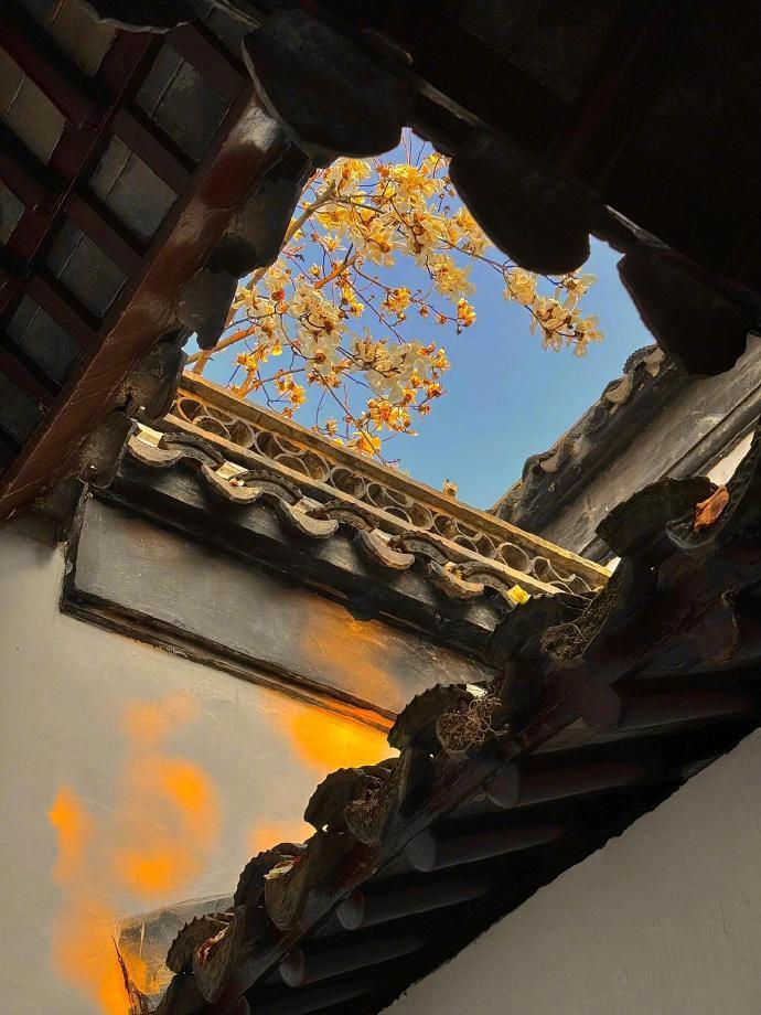 你永远可以相信中式美学 