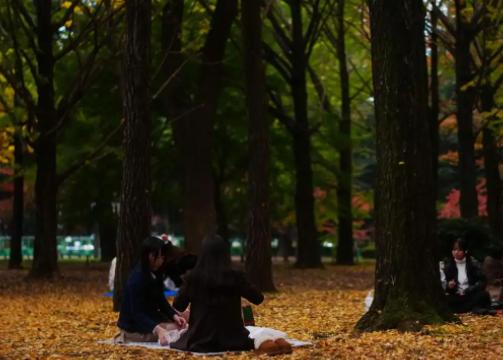 正当全国人民都在批斗日本首相高市早苗之时，新华社突然发了一组日本东京代代木公园的