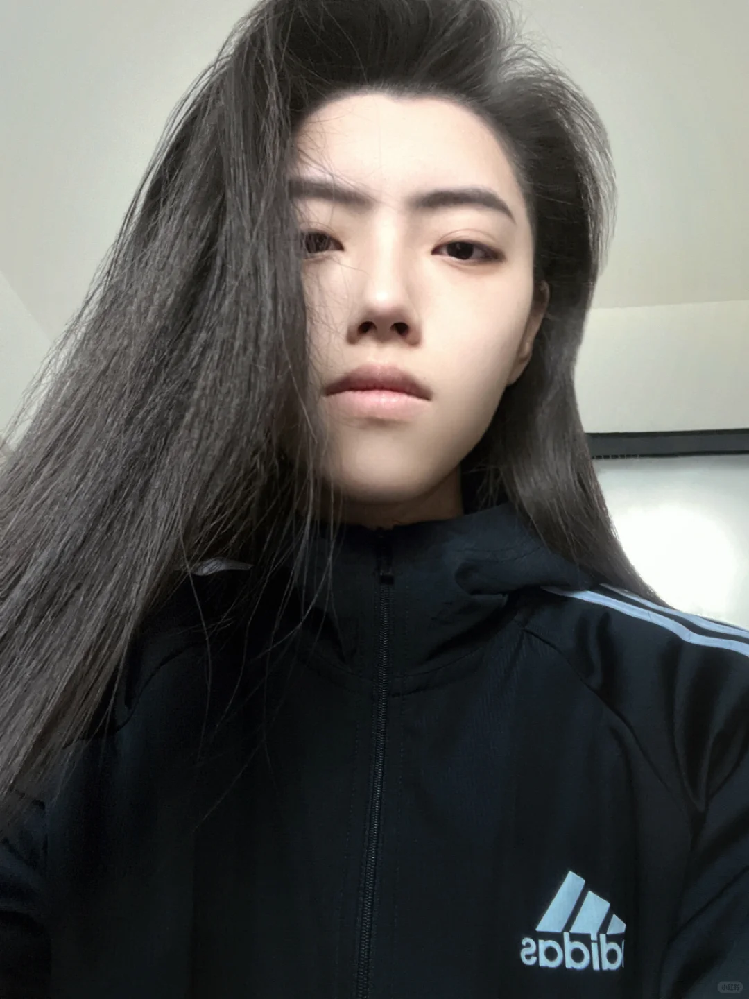 彩页