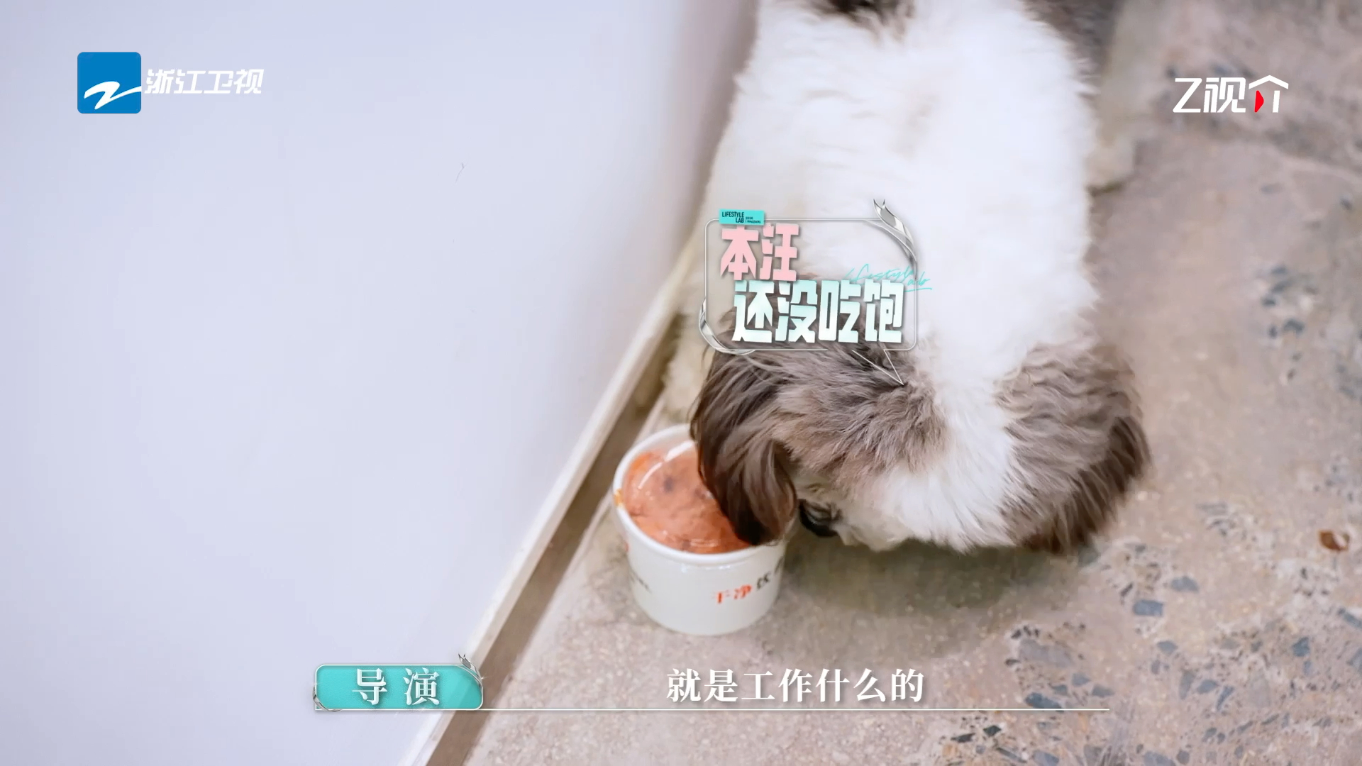 常华森自曝被狗尿了一身 哈哈哈哈哈哈对不起但真的太好笑了。小狗的“偏爱”说来就来