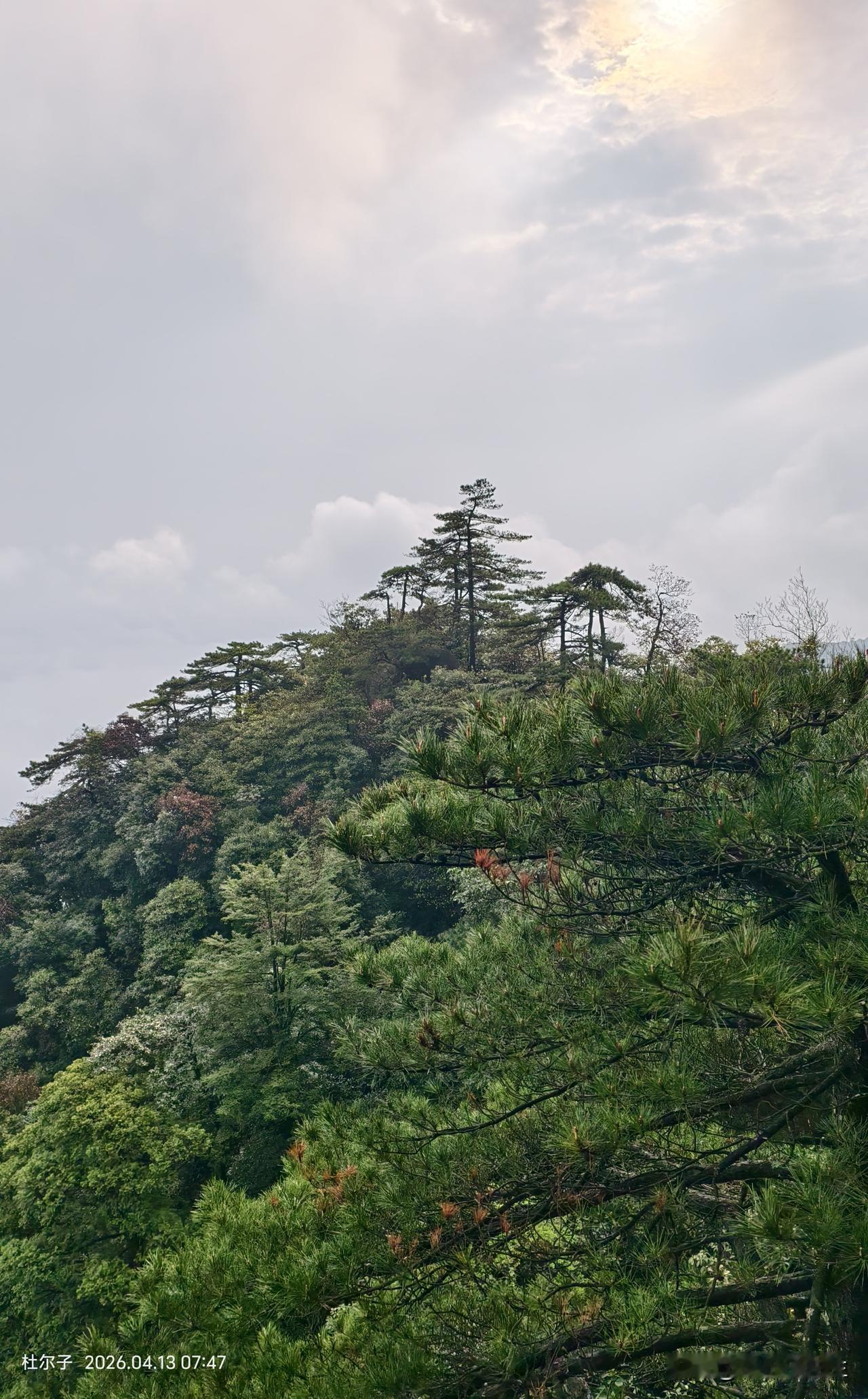 早就想着去天下第一仙山的三清山看看
这次乘老伴有假期成行了
从南宁去三清山，可坐