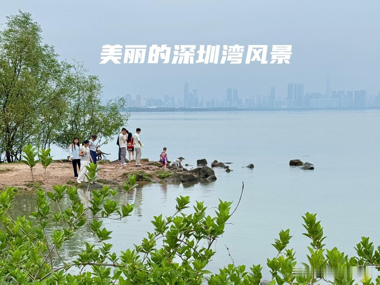 深圳湾公园的海景风光简直绝了！站在那，一眼望去，海水波光粼粼，与蓝天相接，让人瞬