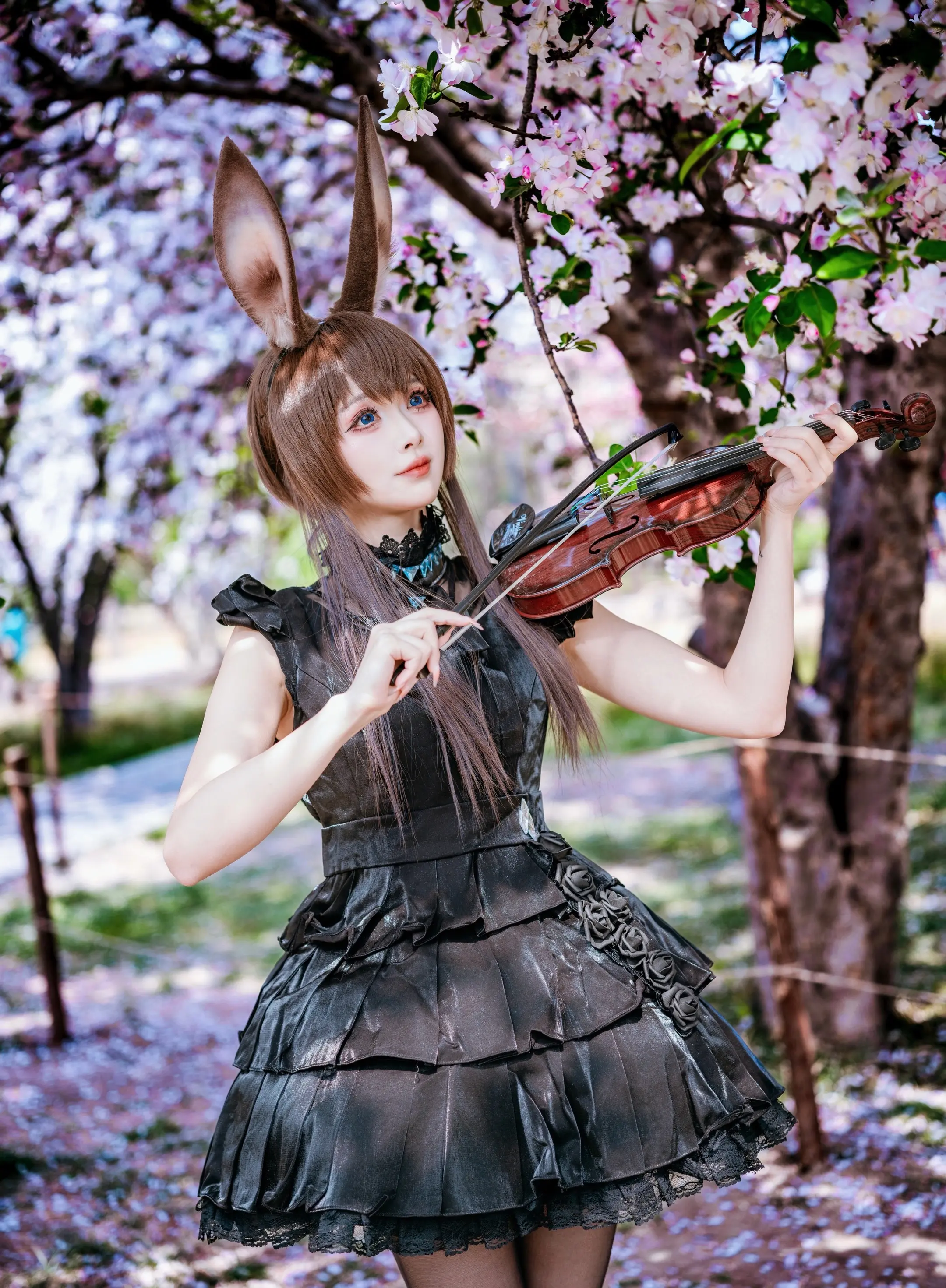 花间音乐会🎻。