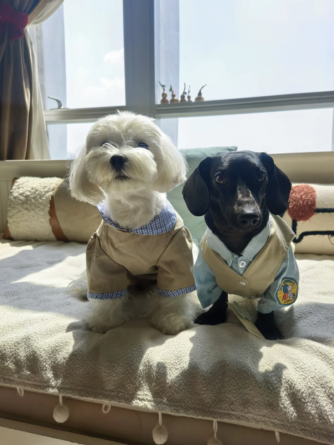 好一对金童玉男啊