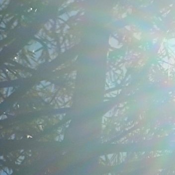 1200在这个世界上，每一个微笑都是善意的种子。今天，让我们用一个简单的微笑，一