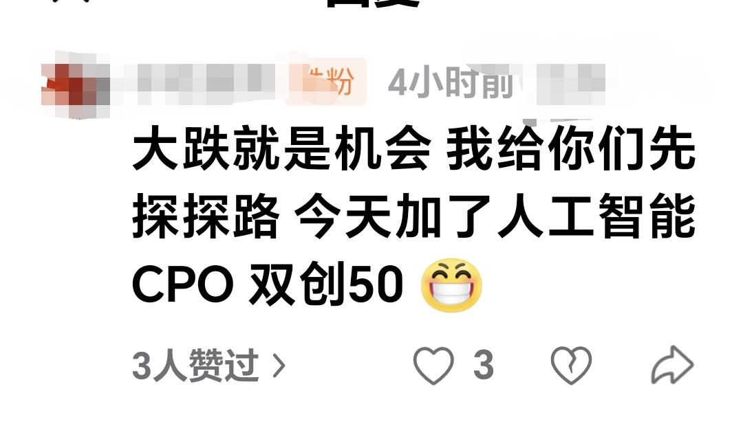 基金：大跌就是机会，我给你们先探探路，今天加了人工智能、CPO和双创50 。  