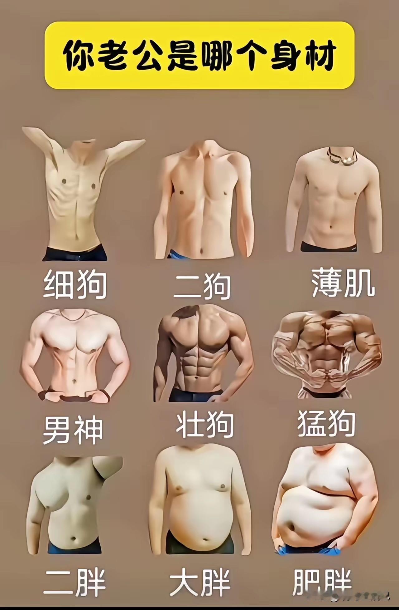 中年男人，一般都是二胖身材吧