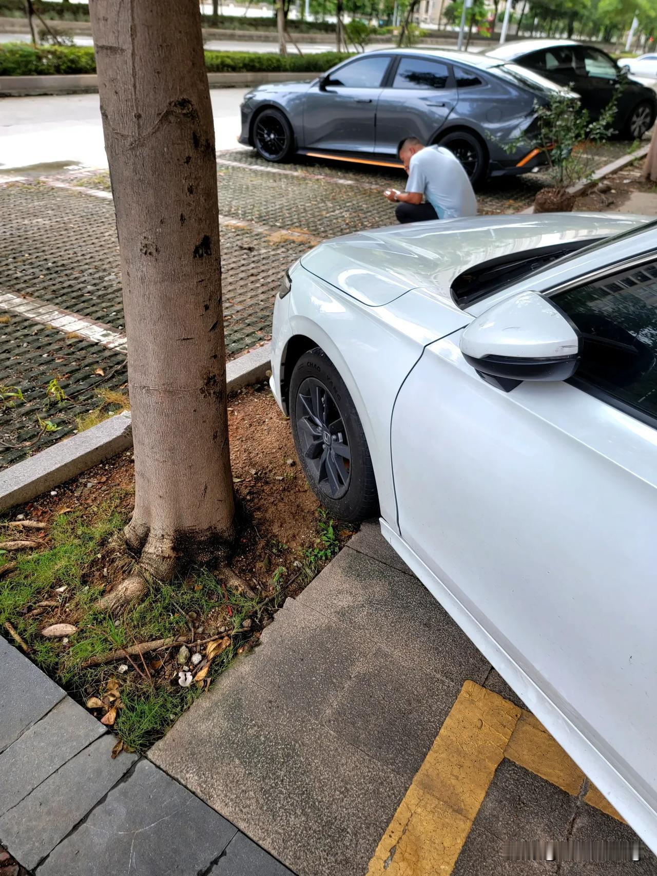 买车这个层面上。市场的变化非常的快，现在的燃油车几乎就没有什么利润了。最要命的是