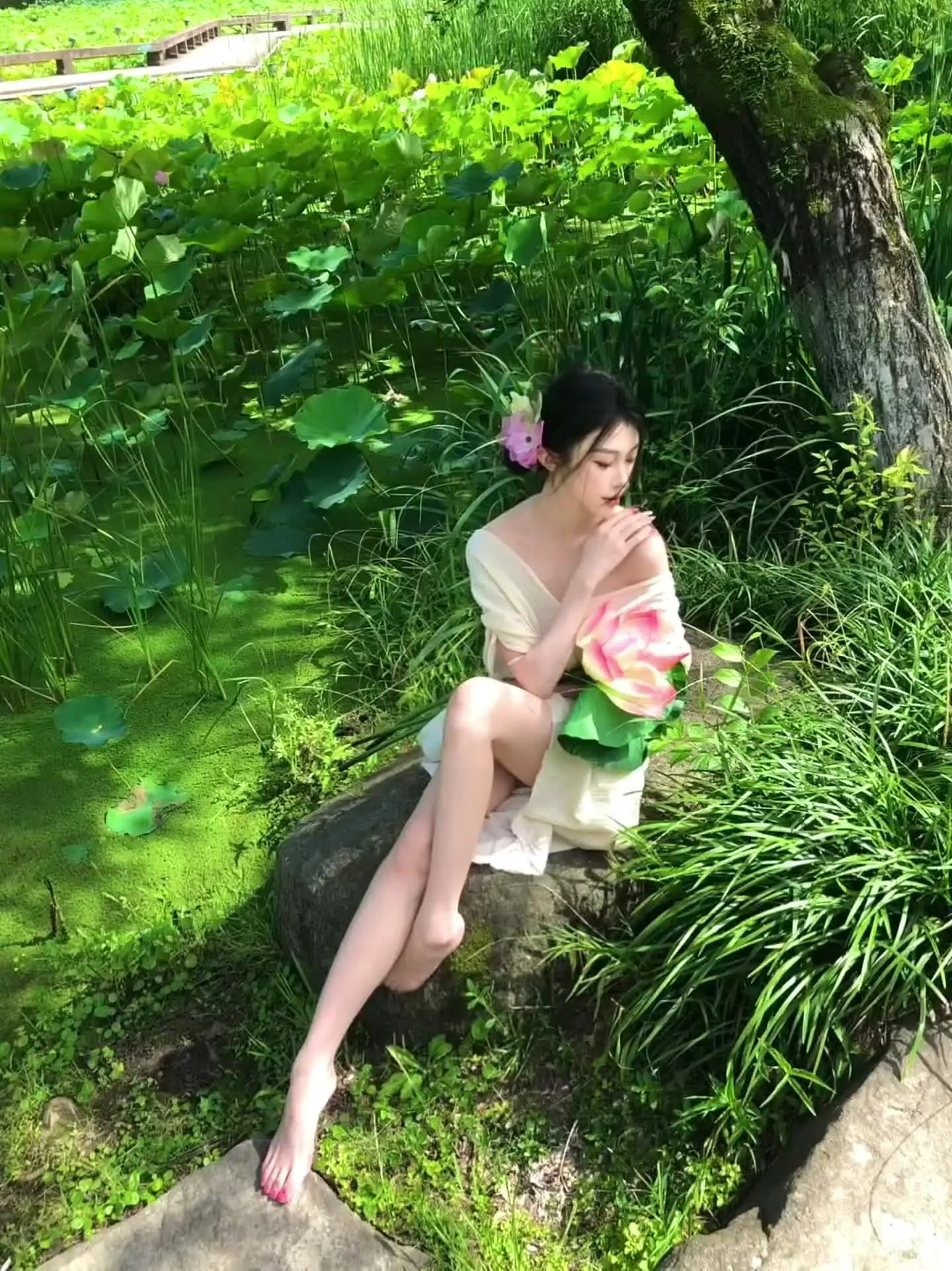 看取莲花净 应知不染心