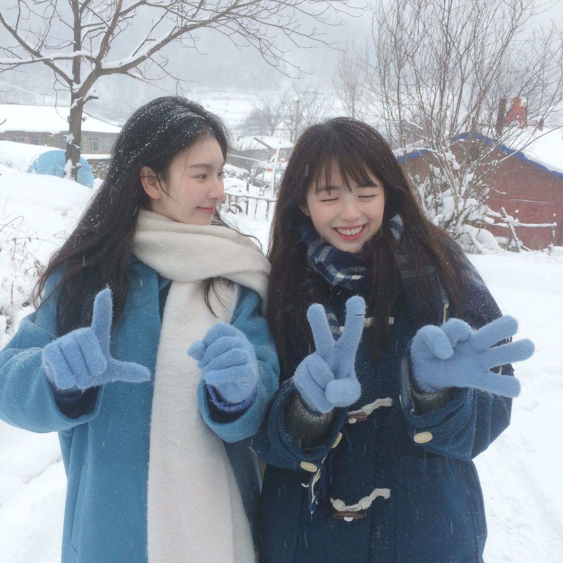 冬天相约一起看雪吧 ❄️ ​​​