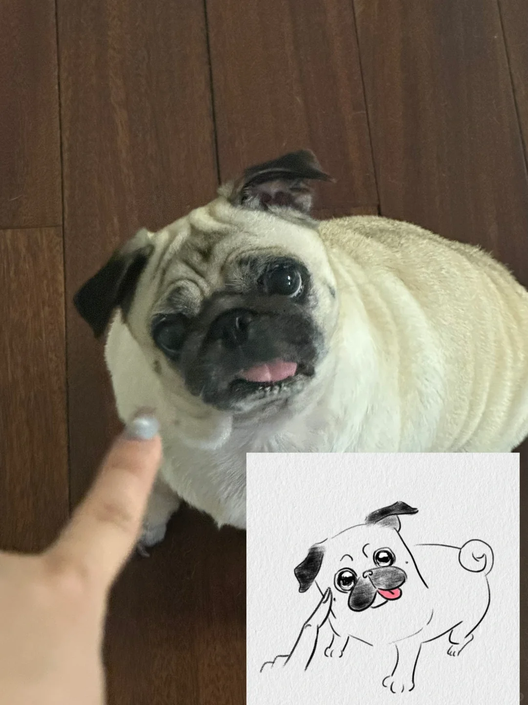 反骨小狗的画像来咯～
