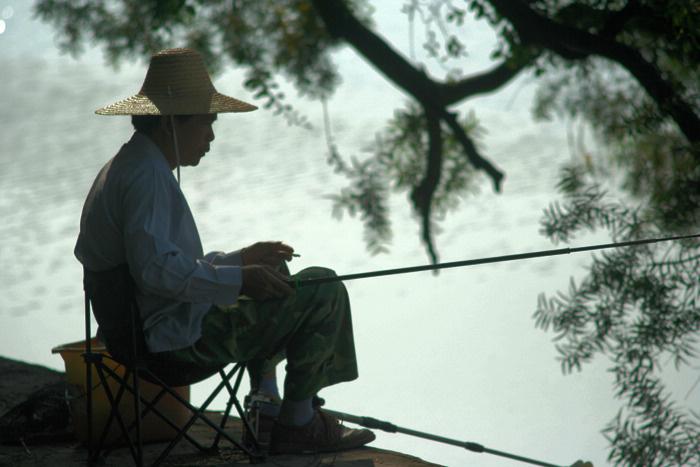 看看我所在的诗社是如何运作的：

根据编委会实际情况，经编委会主要领导研究决定，