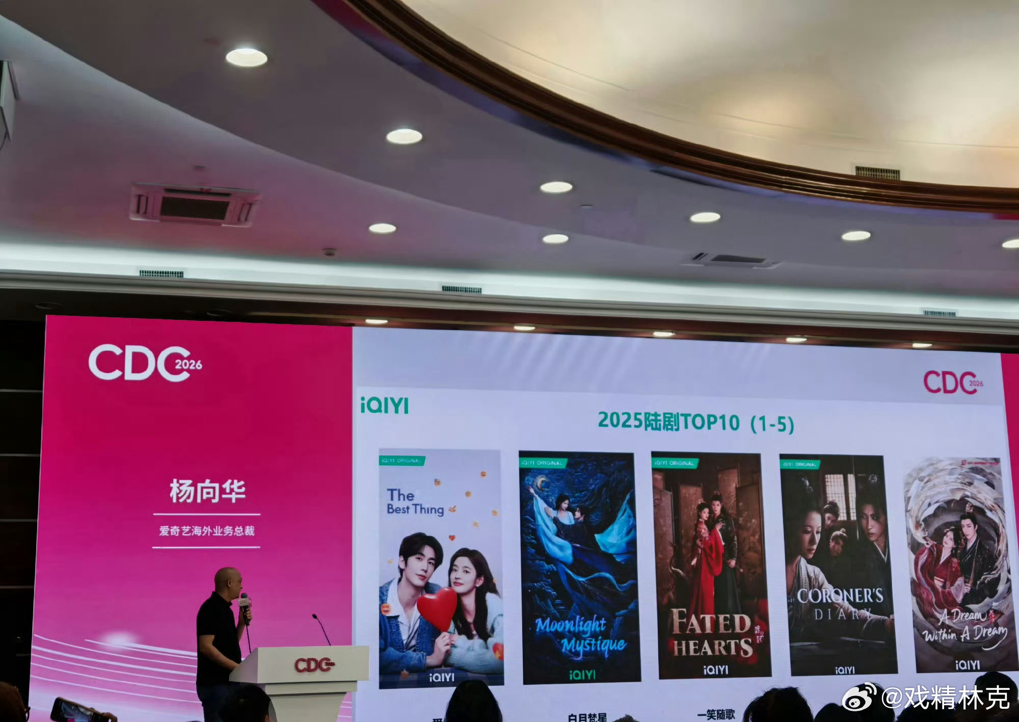 爱奇艺2025年海外播放前十