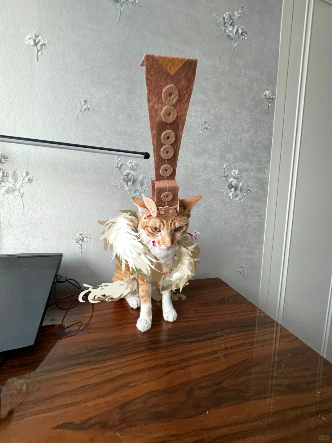 你说谁矮呢，再说一遍？