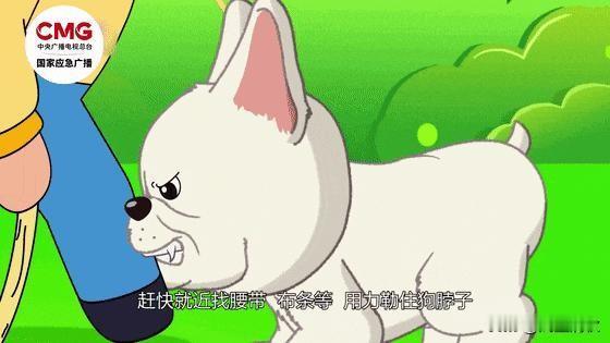 遇到恶犬死咬不放！别瞎拉扯！这套自救+急救知识关键时刻能保命
 
       