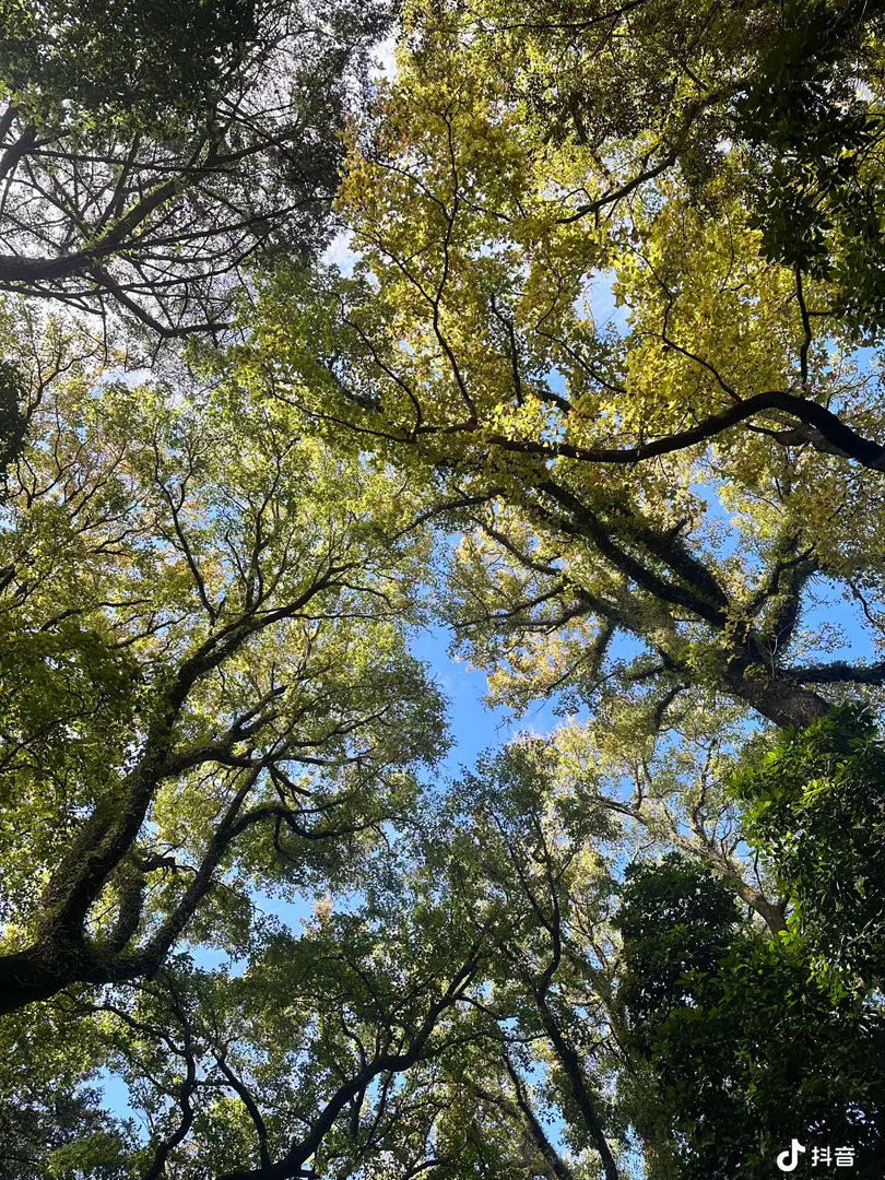 认真过好每一天，就是对自己最好的交代。晚安 