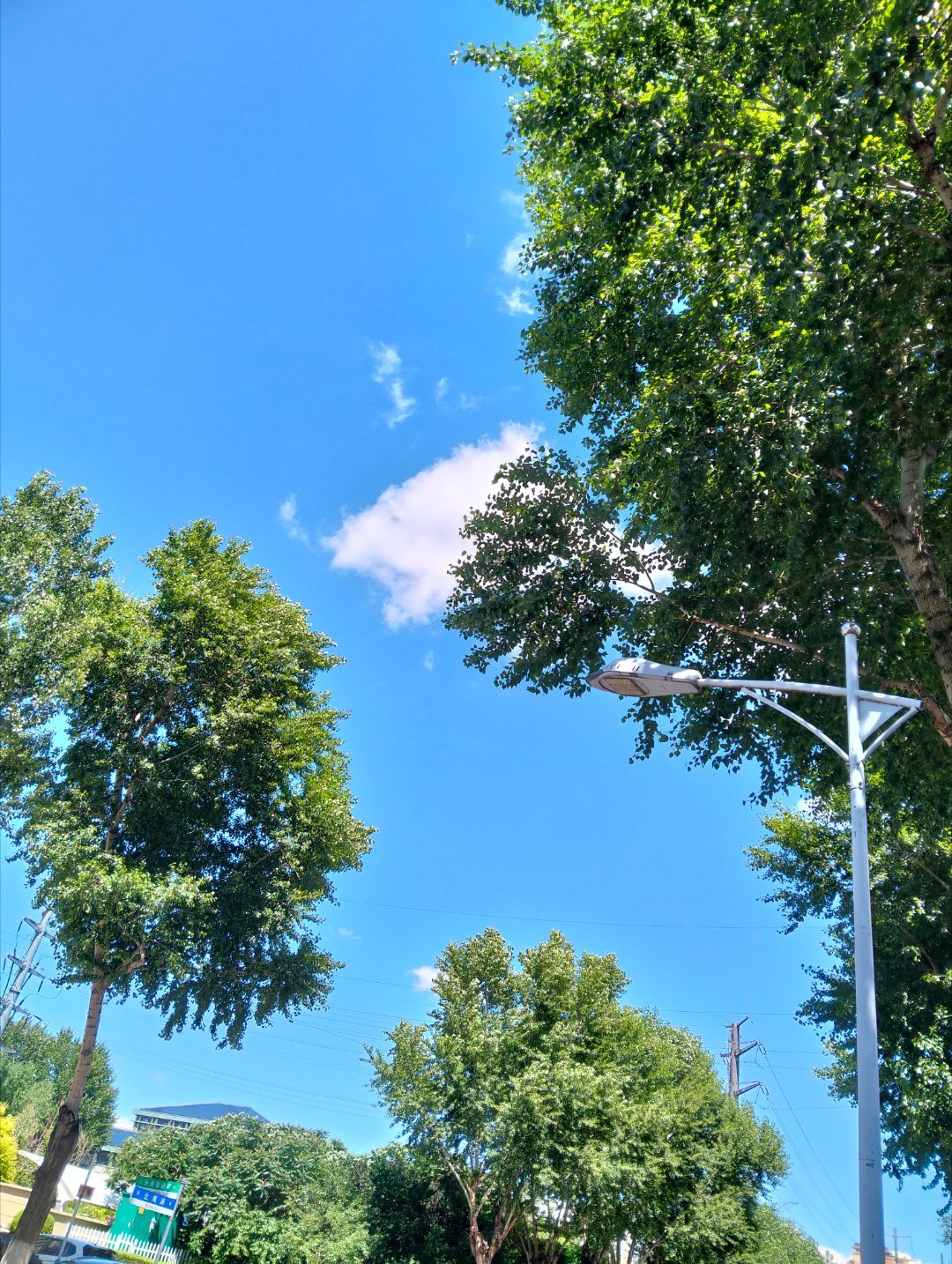 今天真是难得的好天气，忍着疼，出来溜溜 长春·天地十二坊