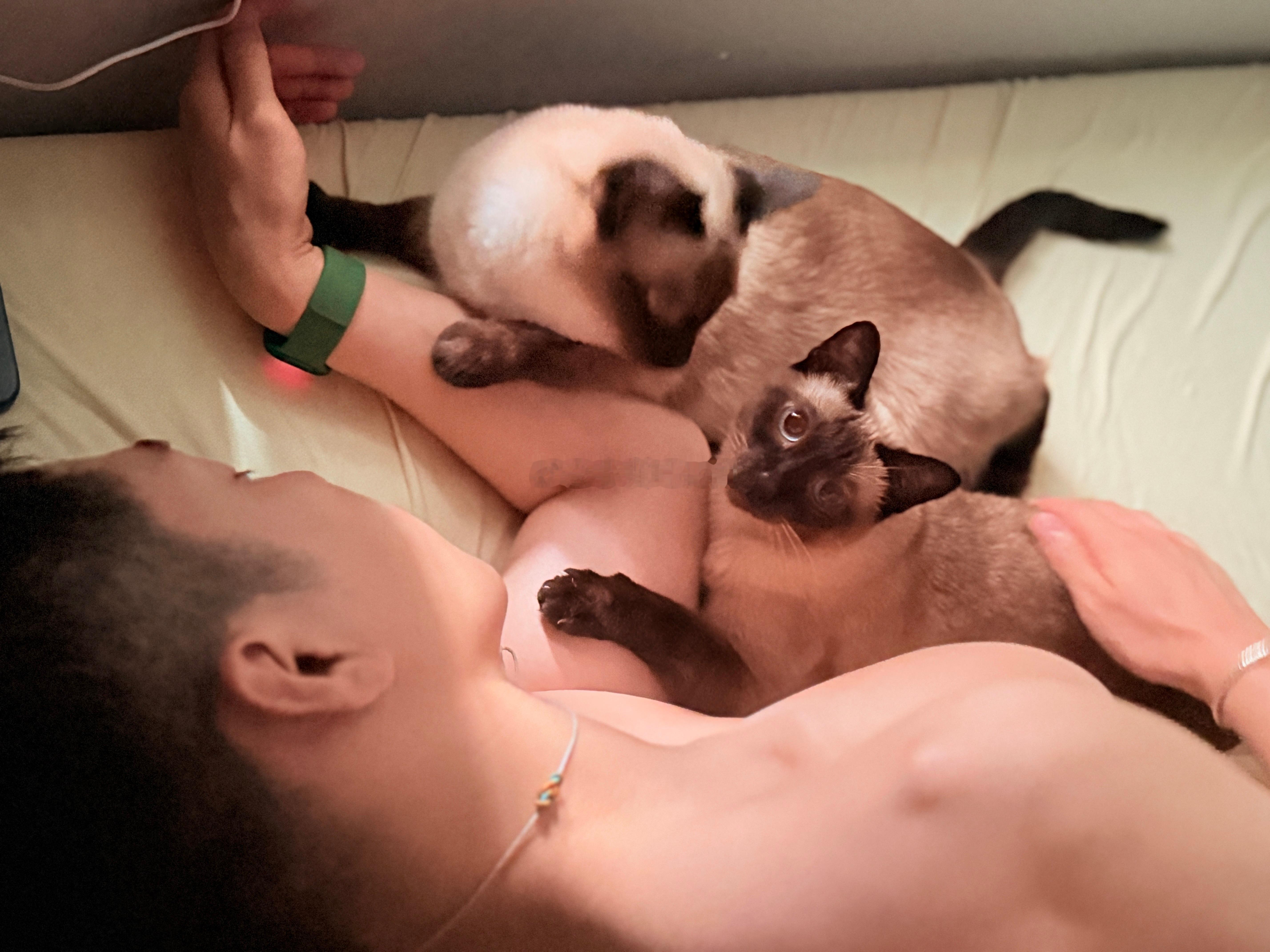 雷雷早上醒来第一眼！这俩猫搁着抢人呢？[捂嘴哭][捂嘴哭][捂嘴哭]小帅Craf