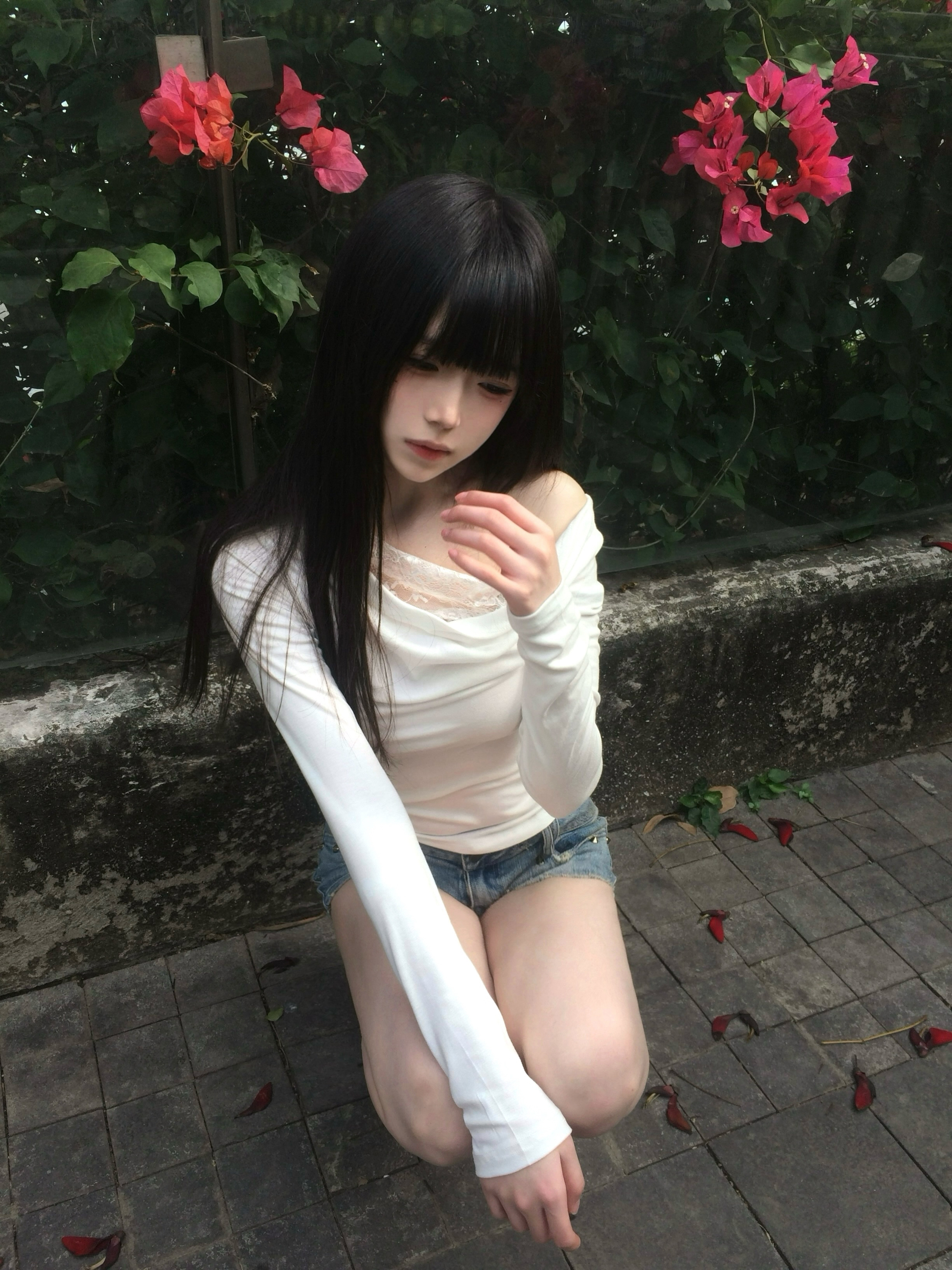 🌺 