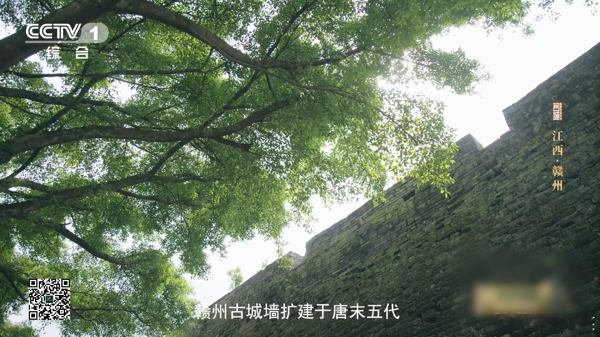 #江西古城墙上有块500年前的小猫砖# 当我轻轻触摸那块小猫砖，仿佛能感受到50