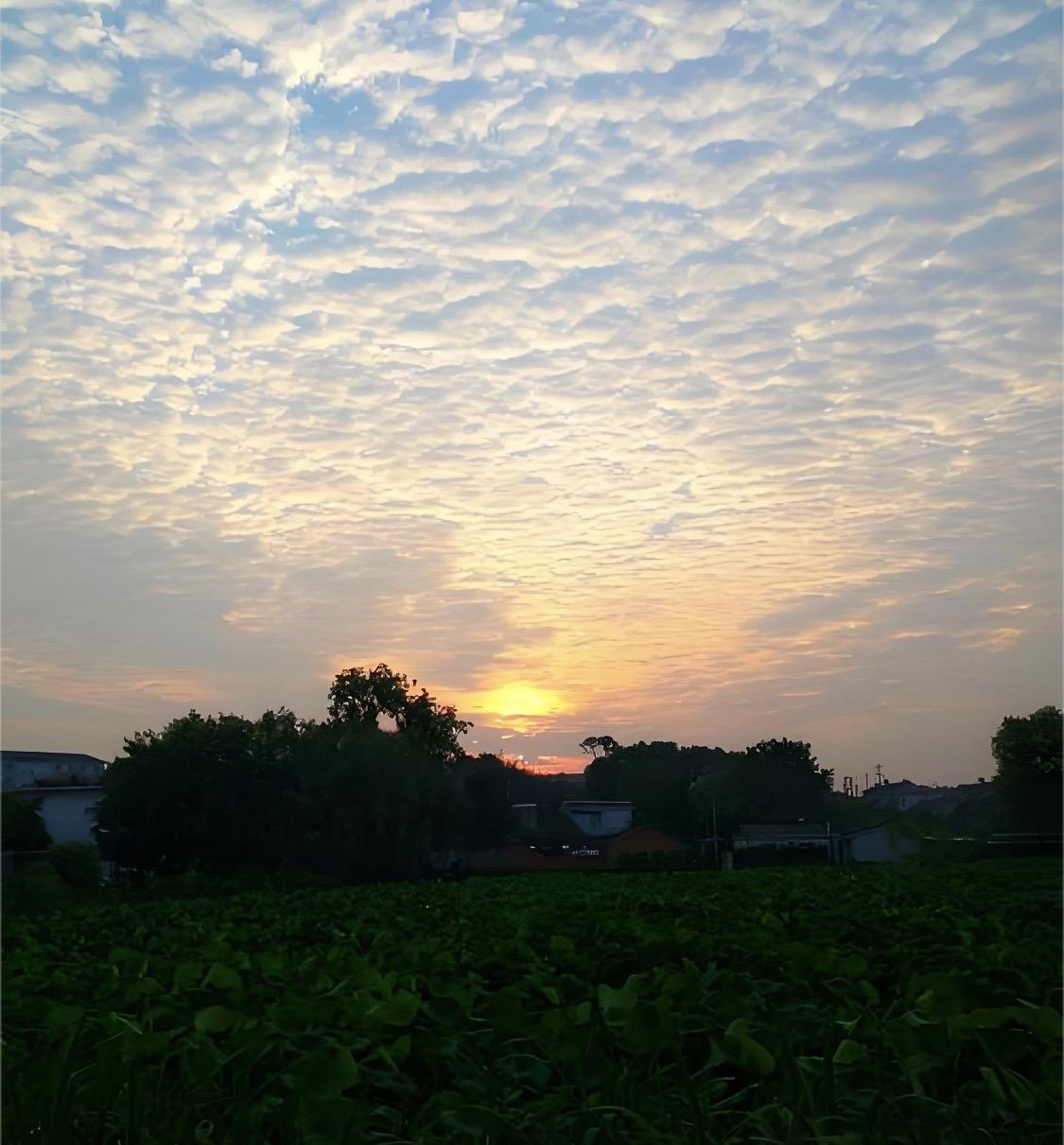 上联“晚霞总惹夕阳醉”瞬间把画面感拉满，晚霞那绚丽的色彩，仿佛真的醉了夕阳。我对