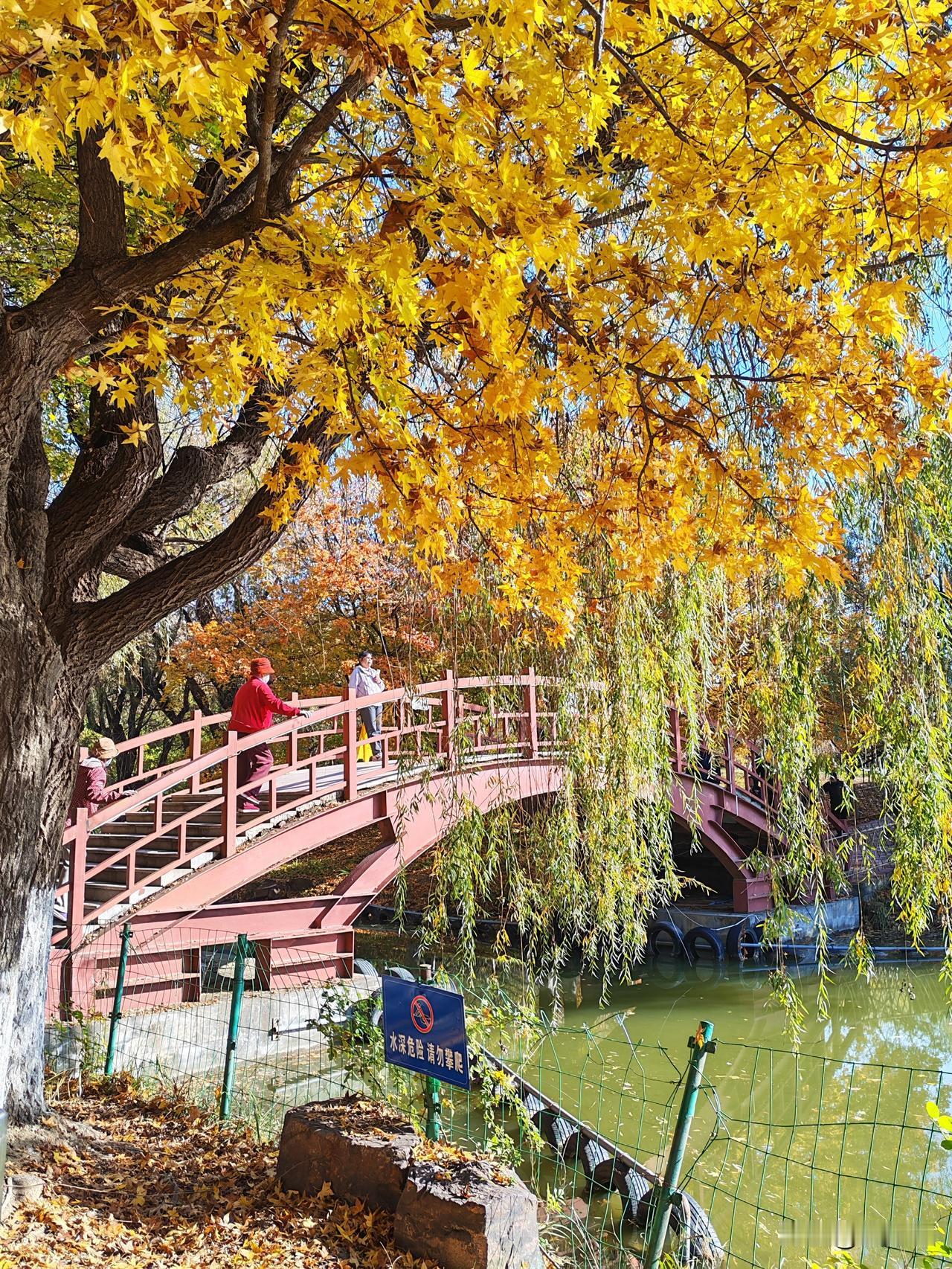 晒出生活的美丽瞬间